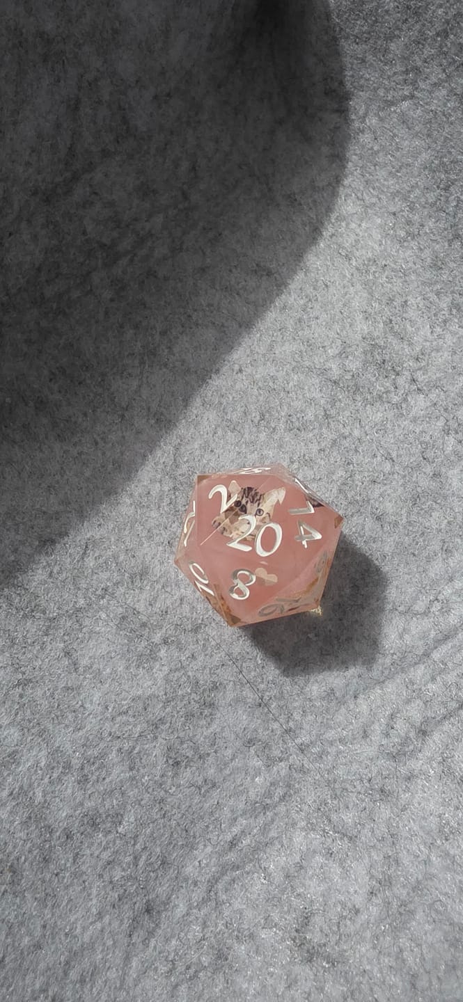 Customer photo review of 🎁 A Free Gift Random D20 (100% off)