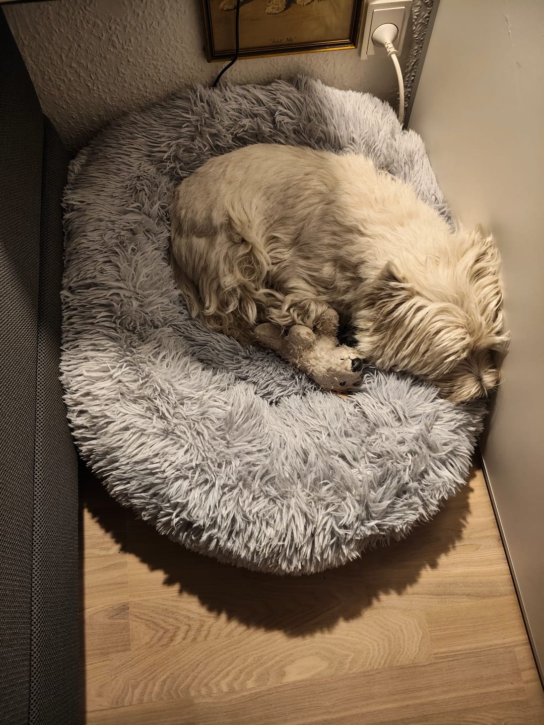 Customer photo review of Fluffy Donut Hundeseng, grå