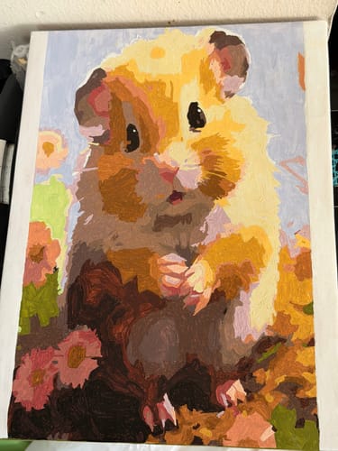 Customer photo review of Sweet Guinea Pig