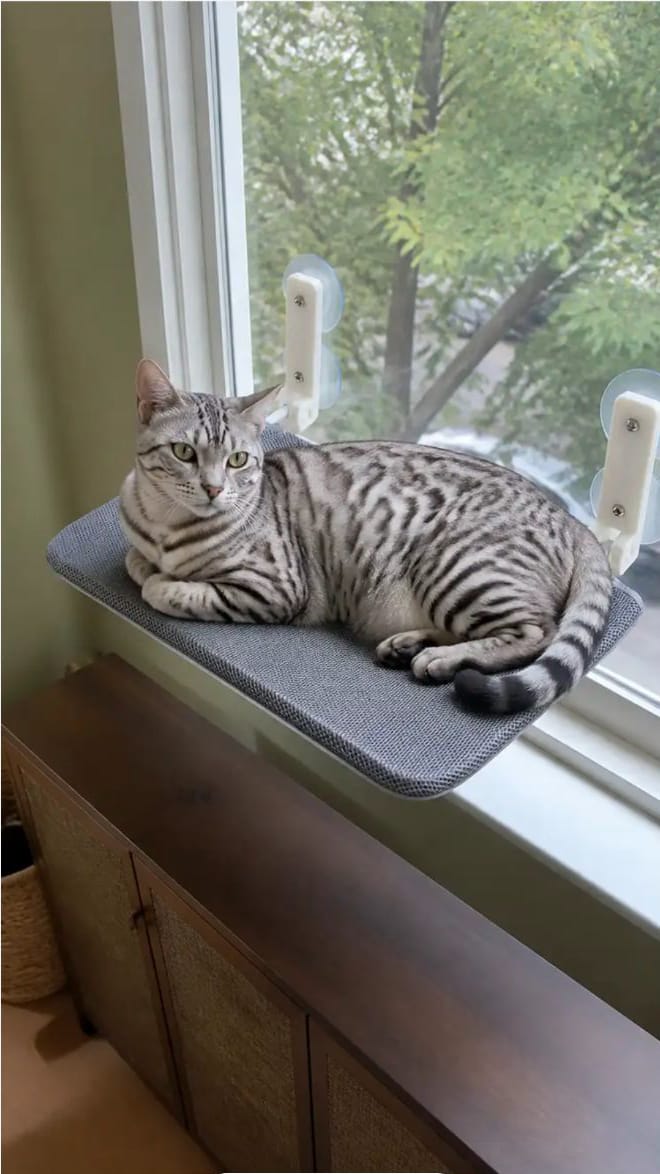 Customer photo review of Secure & Stylish Cat Window Perch Hammock