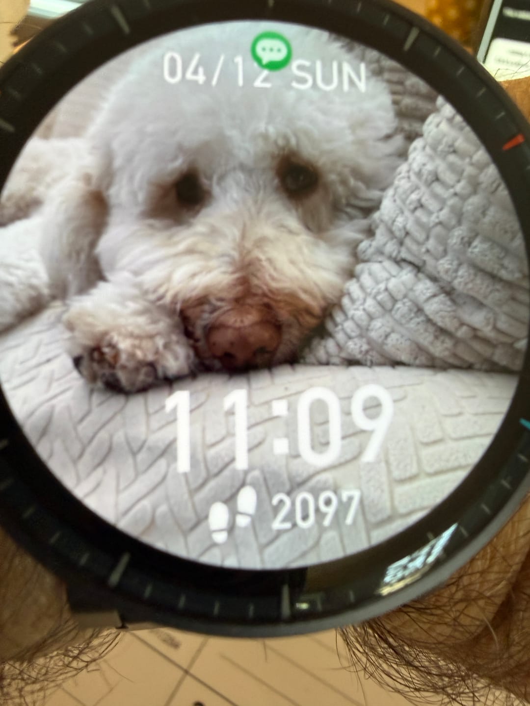 Customer photo review of Active Max