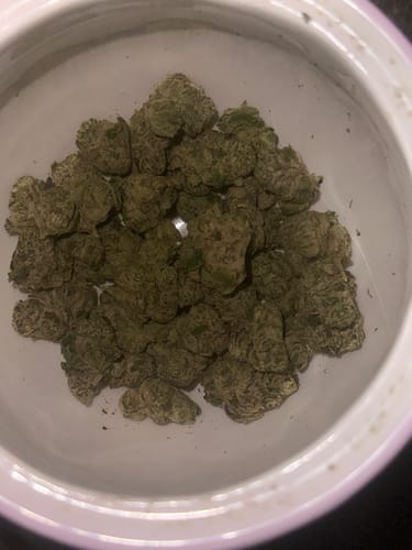 Customer's Blueberry THCA Flower buds inside a white container.
