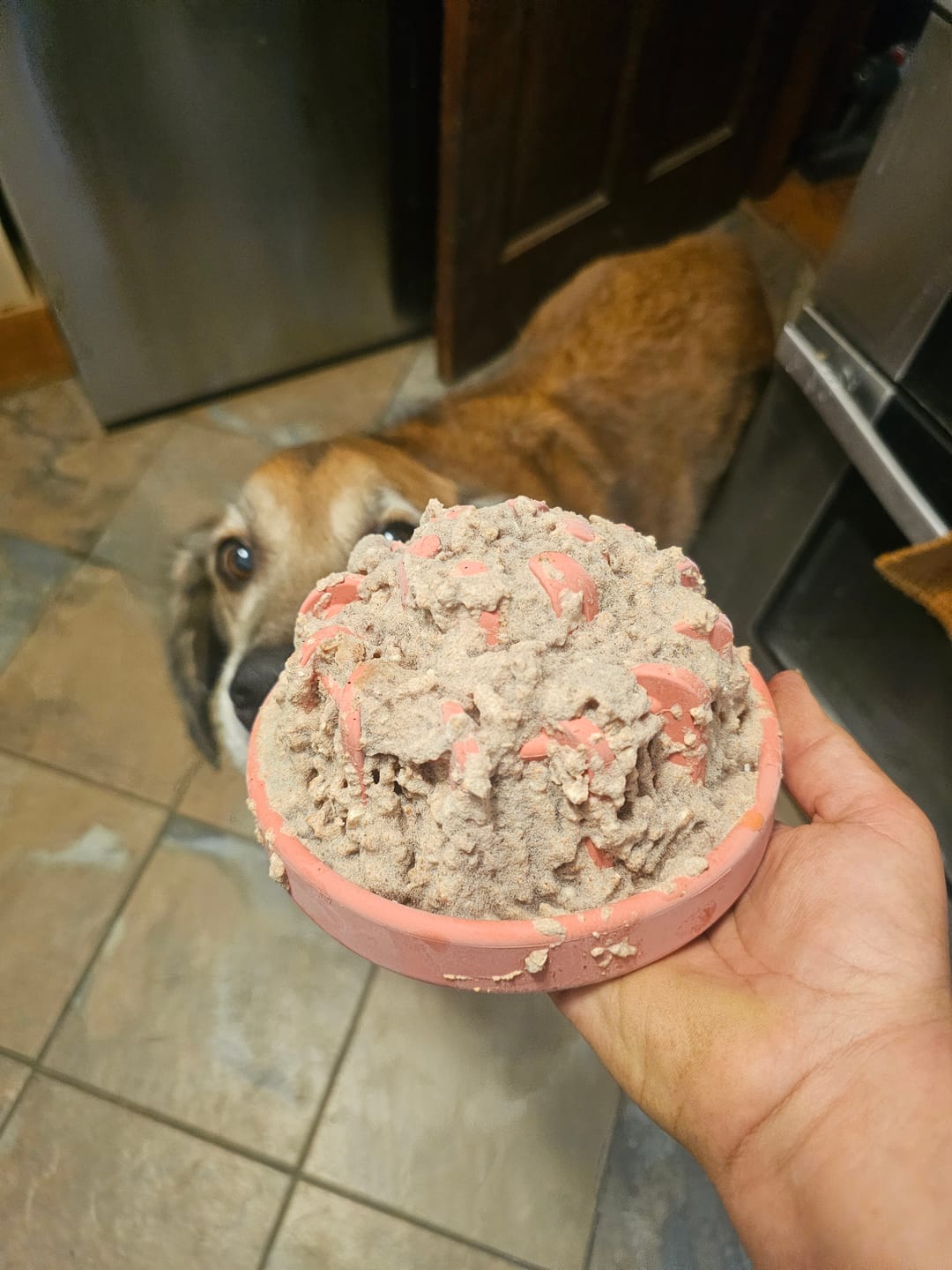 Customer photo review of FreezLava Heavy-Duty Enrichment Chew