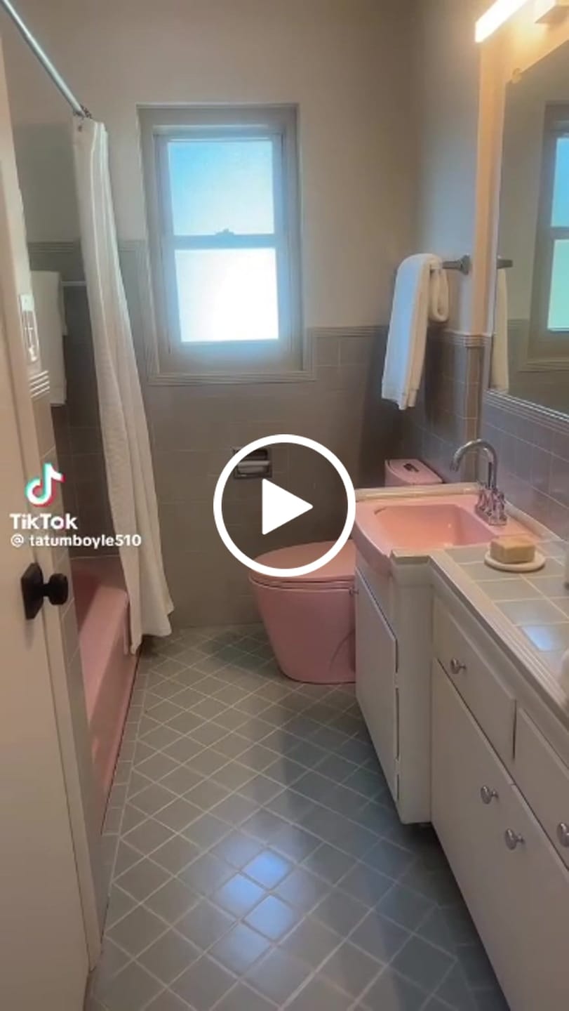 Customer video review of Gota – Pink Modern One-Piece Toilet with Dual Flush & Soft-Close Seat