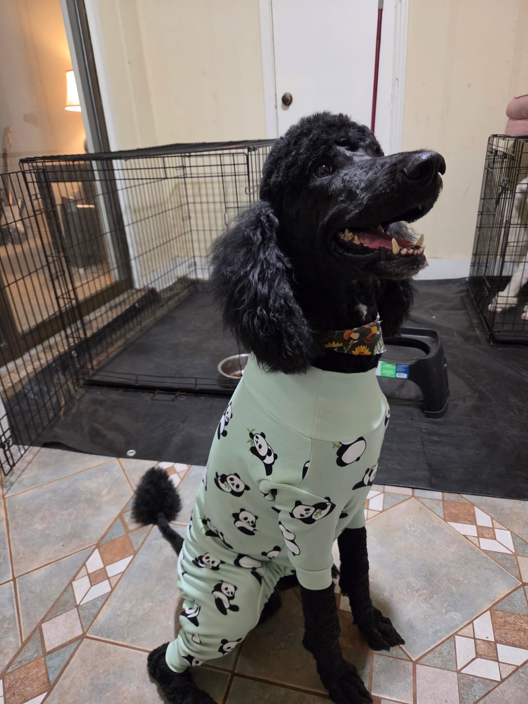 Customer photo review of Dog Pajama - Panda