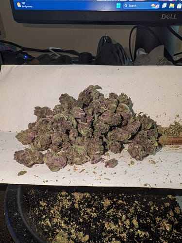 Customer photo review of Tropicana Cherry THCA Smalls