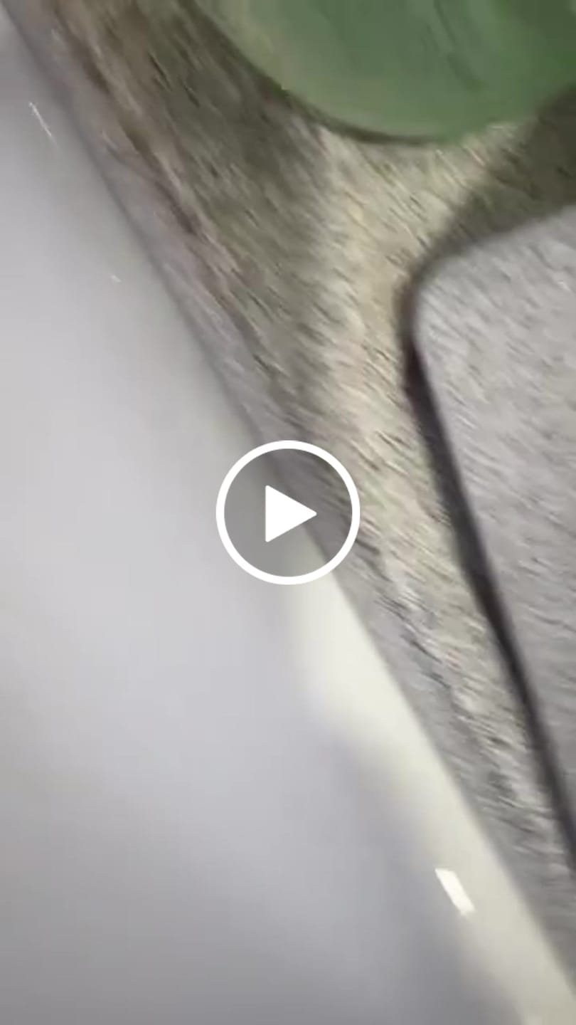Customer video review of Diatomite Homeware