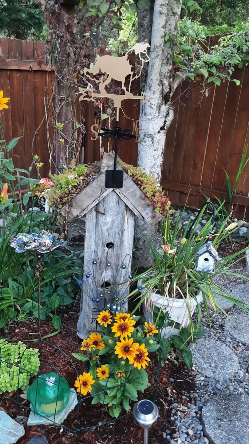 Customer photo review of Weather Vane - Shetland Sheepdog