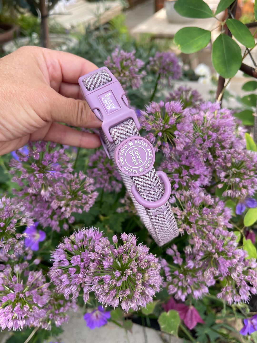 Customer photo review of Adjustable Collar - Colour Drops - Plum Tweed