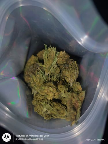 Fire OG - Minis - 28 Grams - Indica photo review
