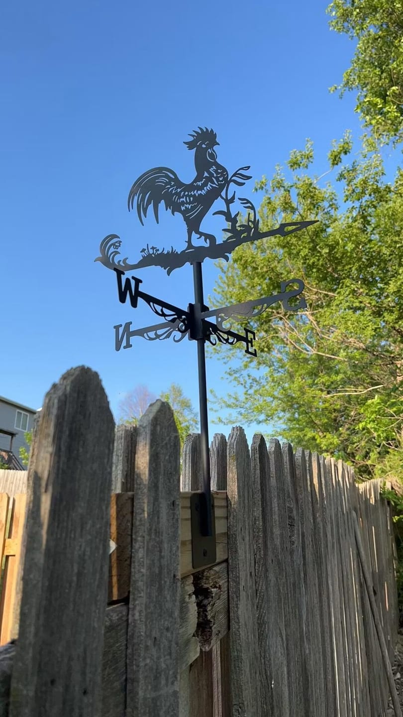 Customer photo review of Weather Vane - Rooster