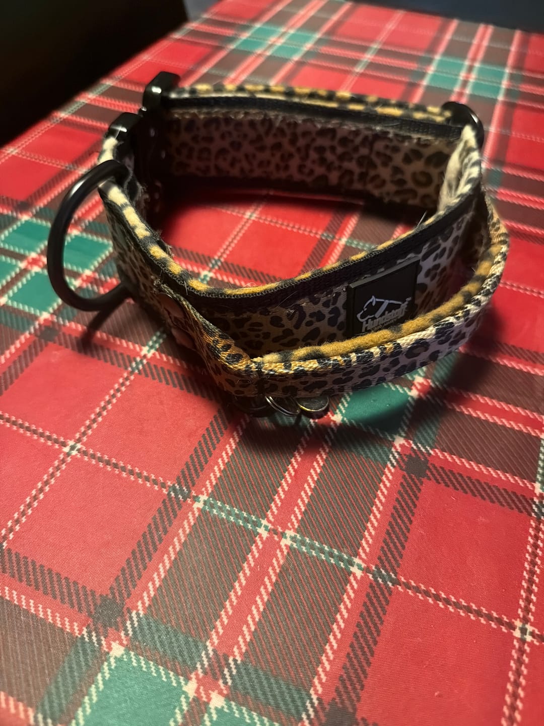 Customer photo review of Extreme Buckle Leopard - Starkt och säkert hundhalsband