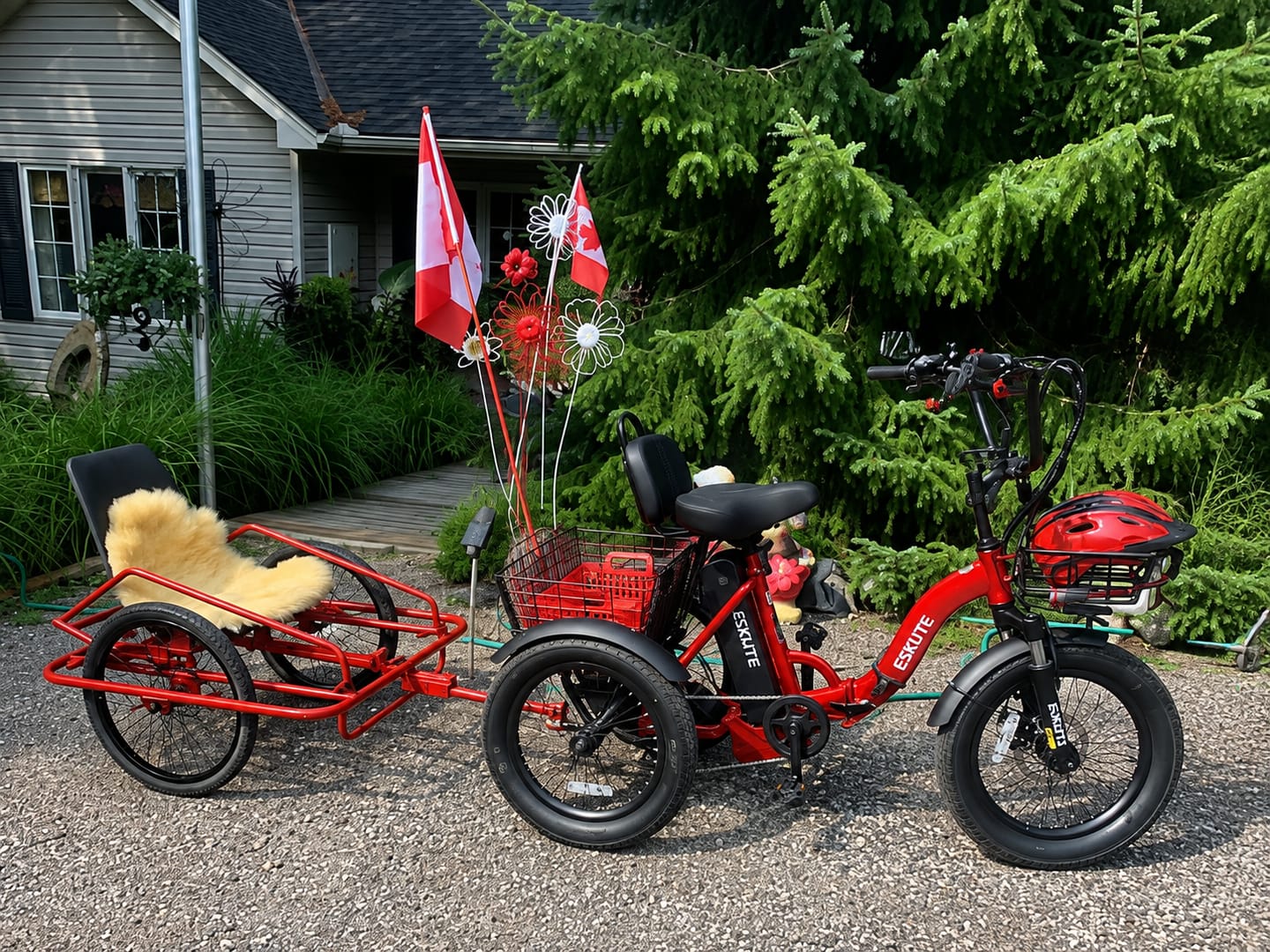 Customer photo review of Eskute® T300 Folding Electric Trike