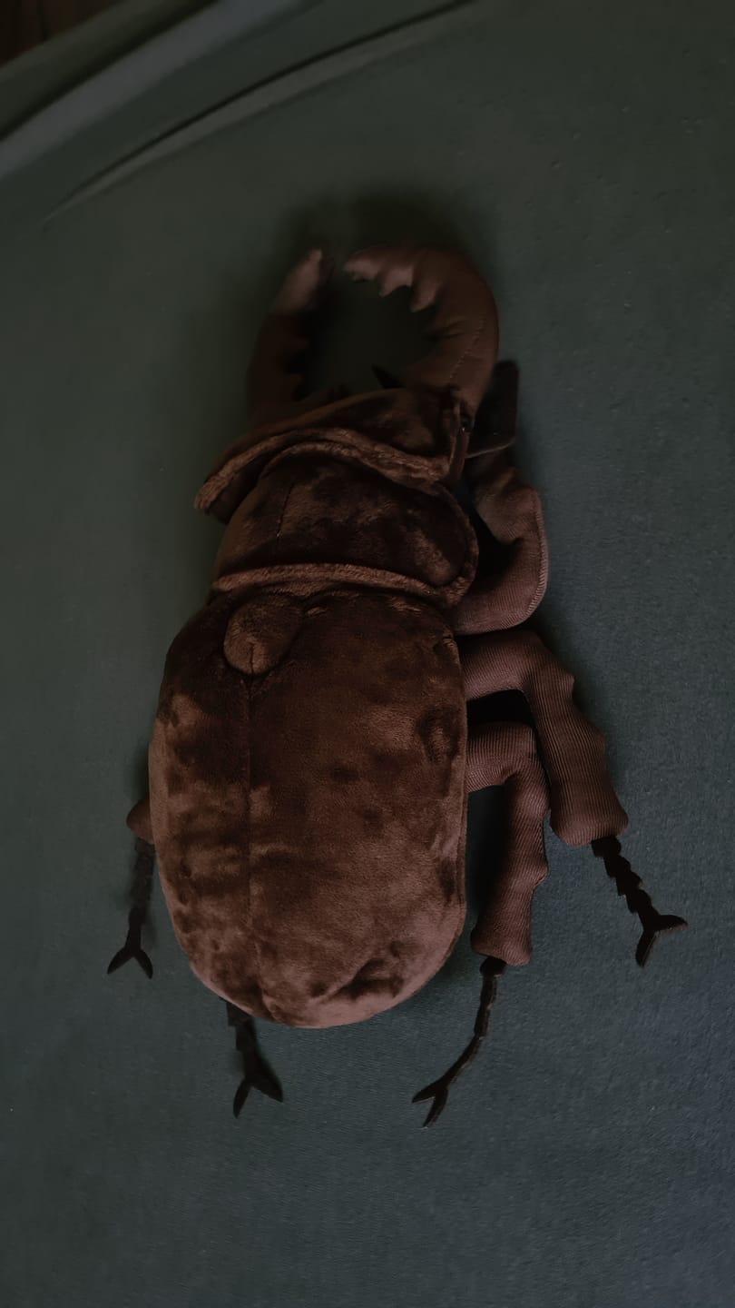 Customer photo review of Stag Beetle Soft Stuffed Plush Toy