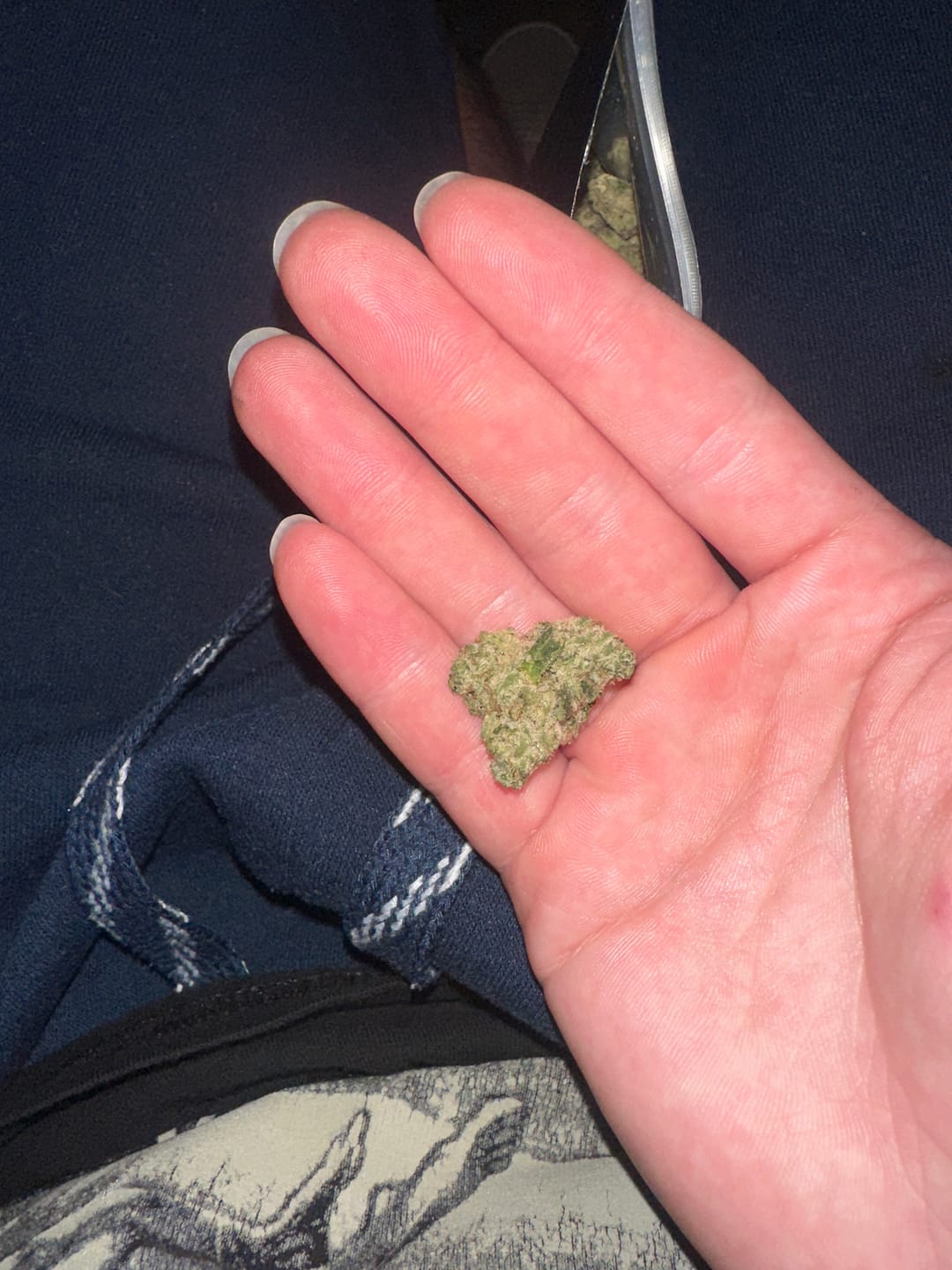 Customer photo review of Zkittlez THCA Flower (Budget)