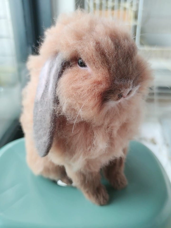 Customer photo review of Handmade Pet Felt Clones