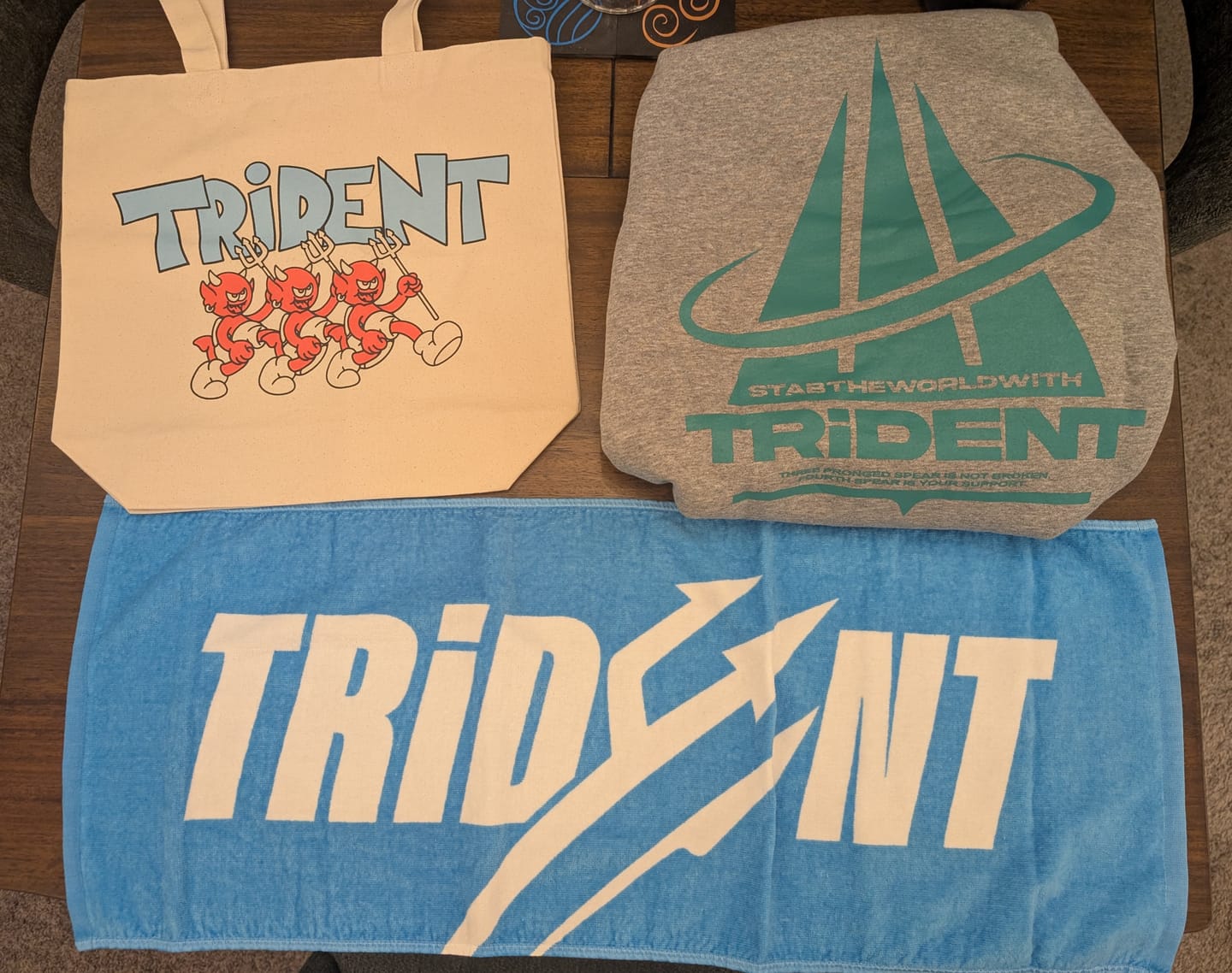 Customer photo review of TRiDENT Logo Hoodie (Gray)