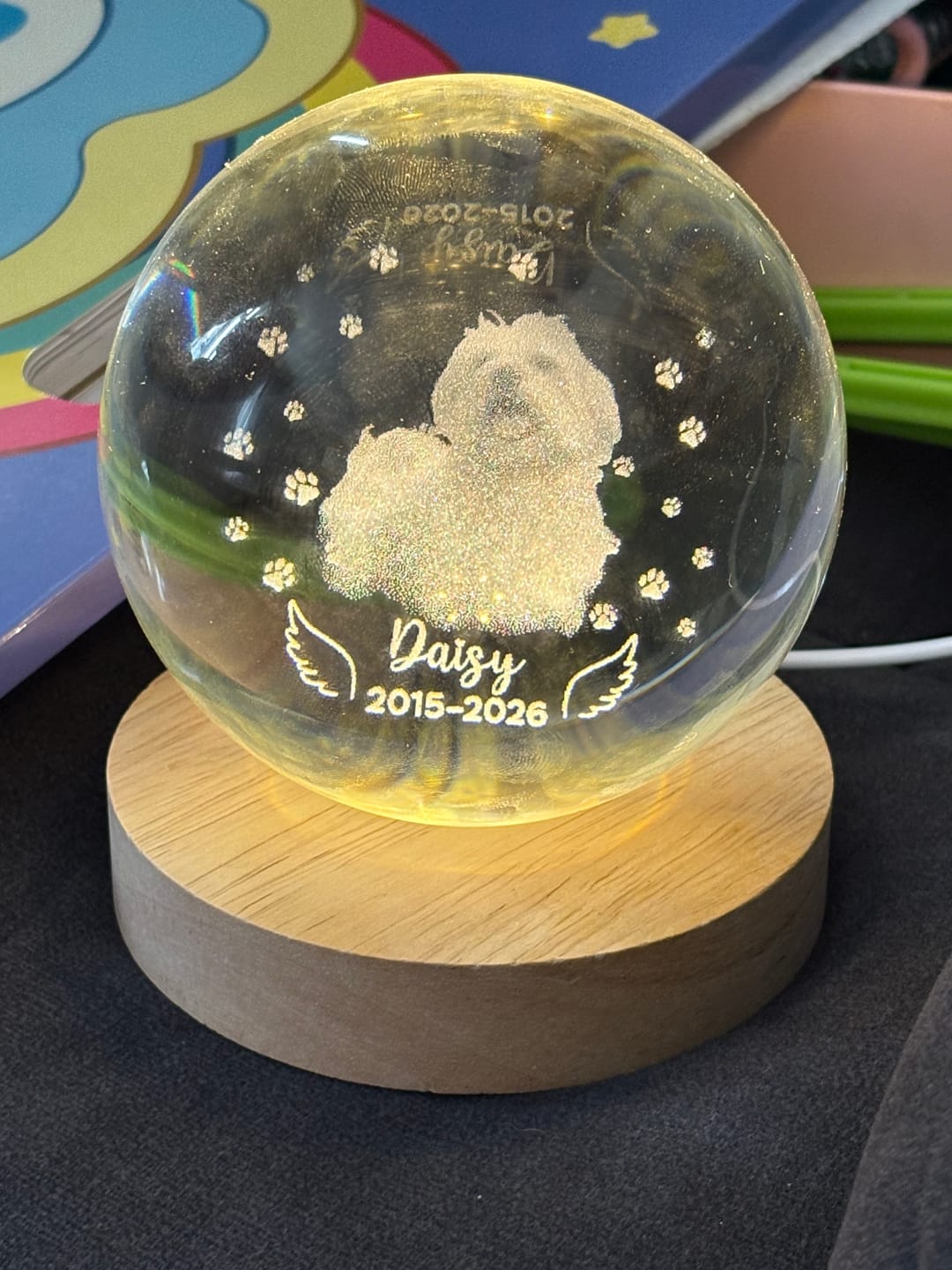 Customer photo review of Dog Angel Wings Memorial - Personalized Crystal Ball LED Night Light - Sympathy Gift For Dog Lovers