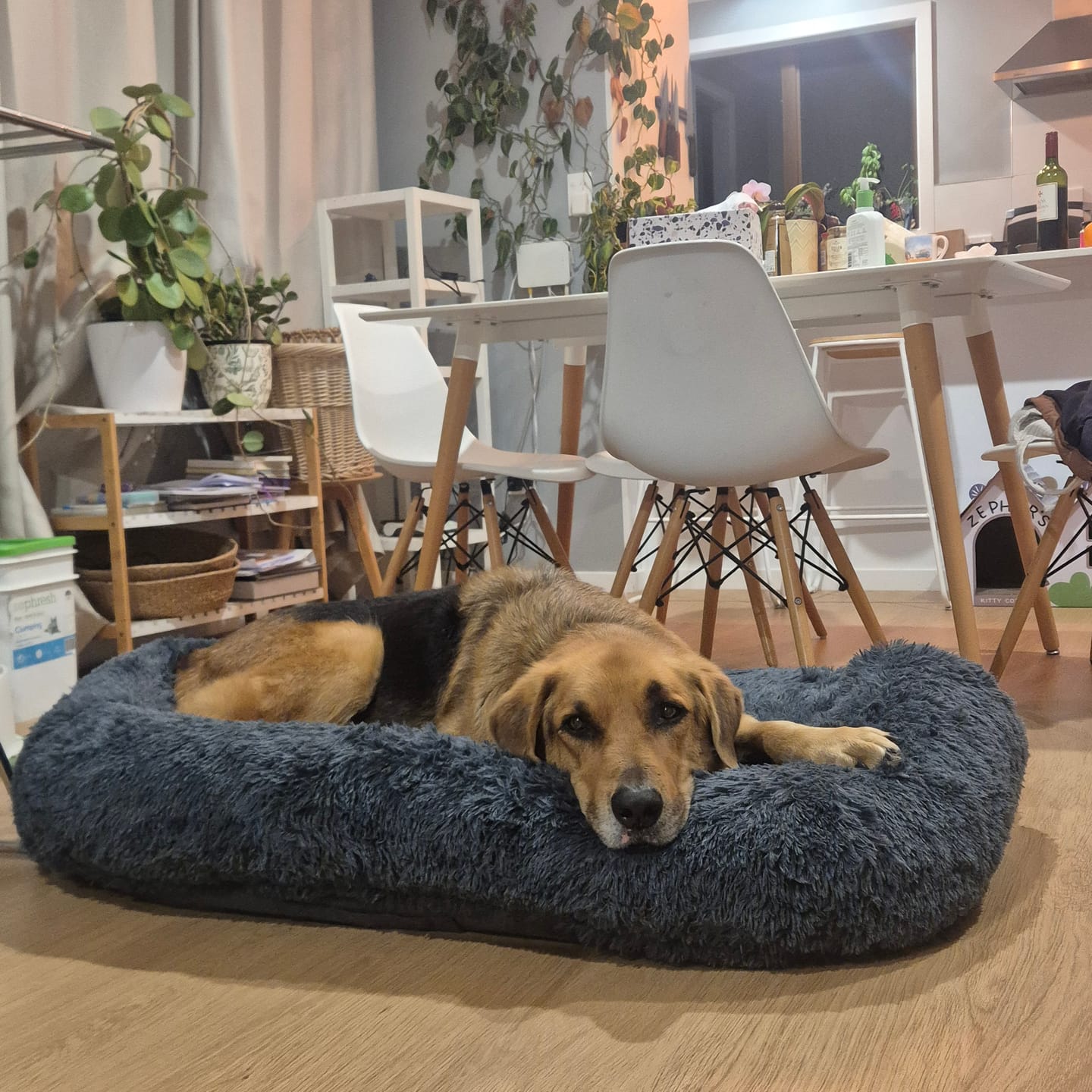 Customer photo review of Brooklyn® Ultra Memory Foam Bed