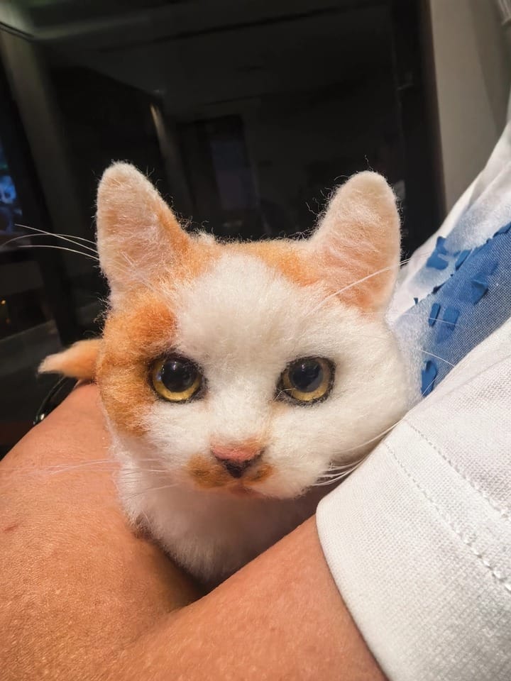 Customer photo review of Handmade Pet Felt Clones