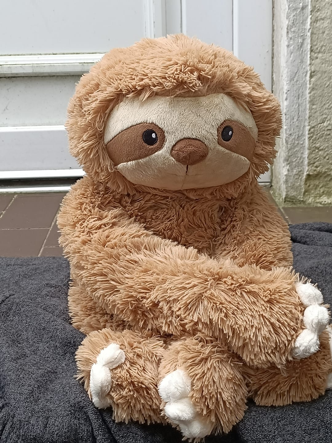 Customer photo review of Lotgenootje Luiaard 2,5kg