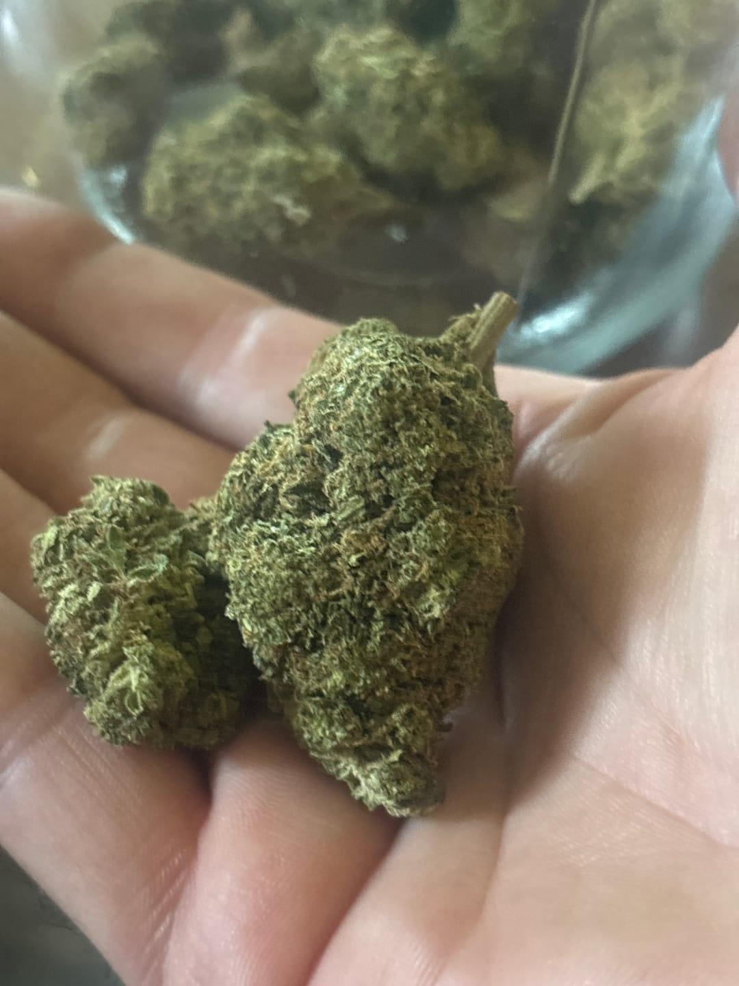 Customer photo review of Jager Sour Diesel - 28 Grams - Hybrid