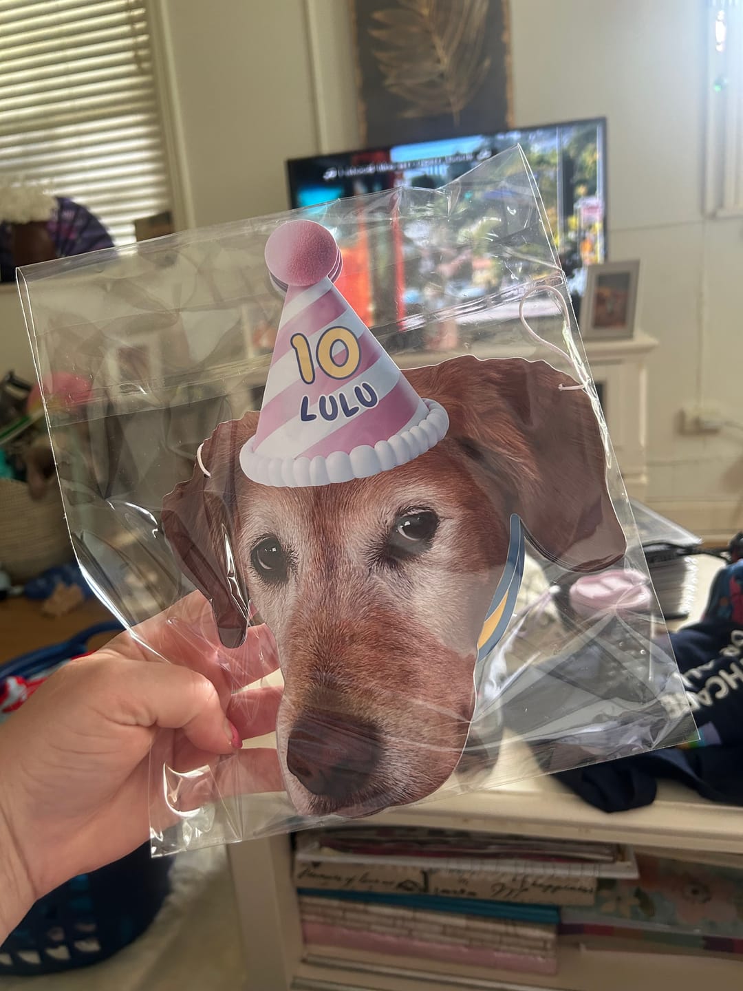 Customer photo review of Standard Personalized Dog Party Pack