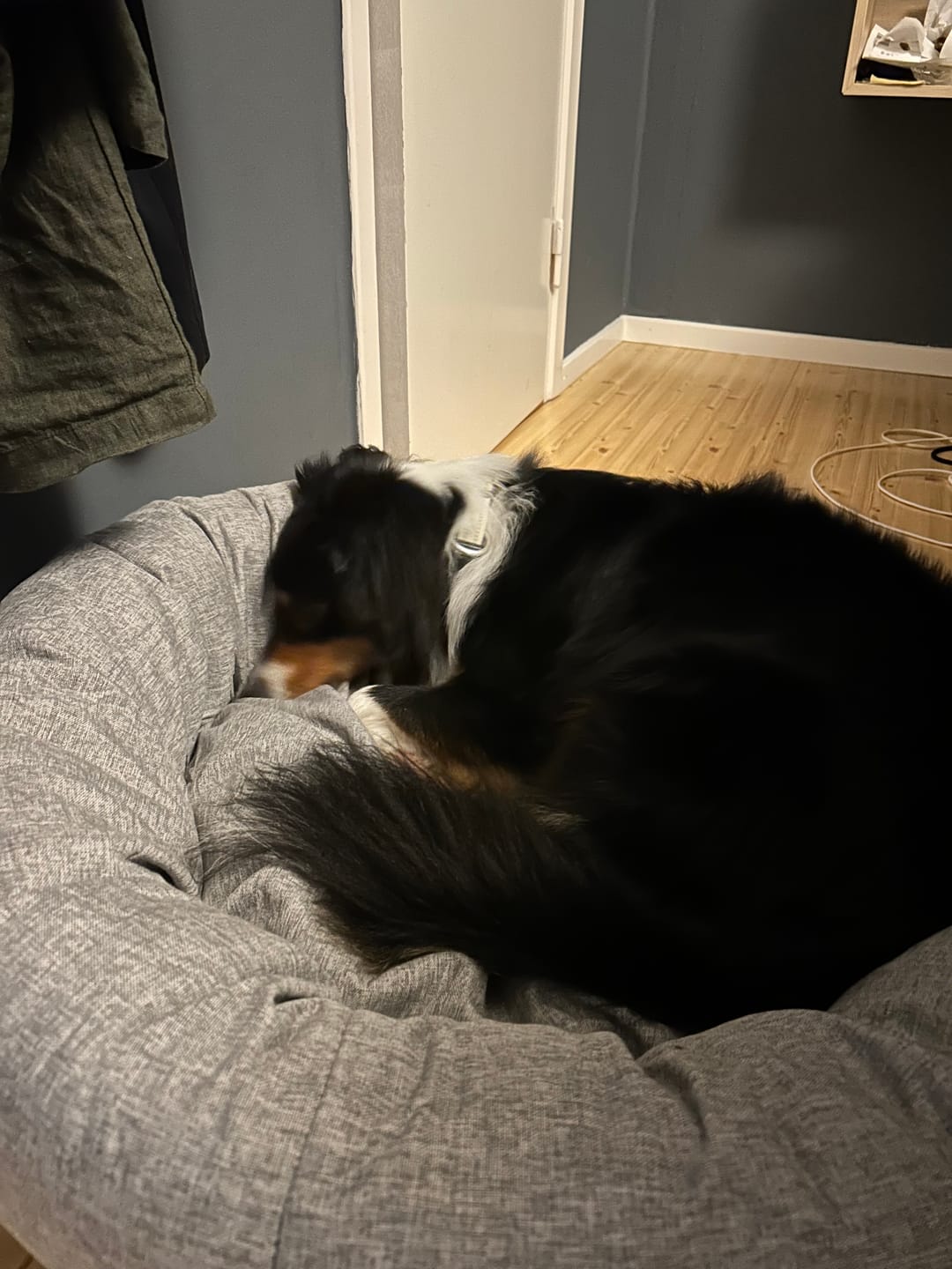 Customer photo review of CalmBed - Motverkar stress & hjälper mot ångest