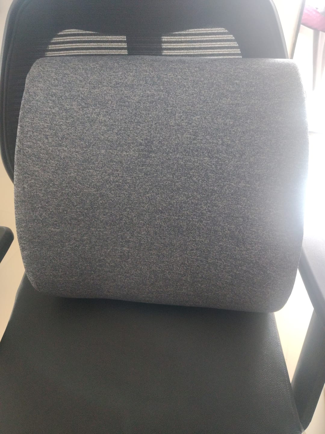 Customer photo review of Back Support Cushion