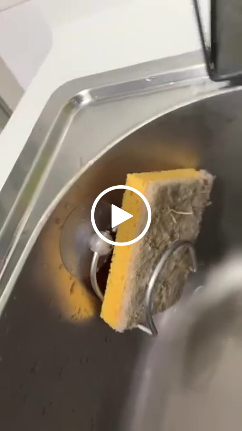 Customer video review of Plant Derived Sponges