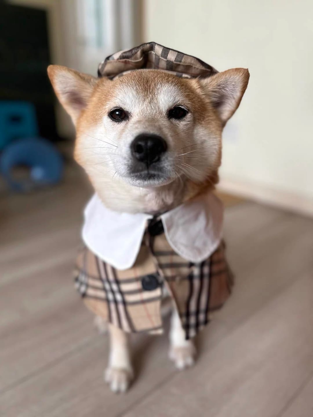 Customer photo review of British Style Coat & Beret