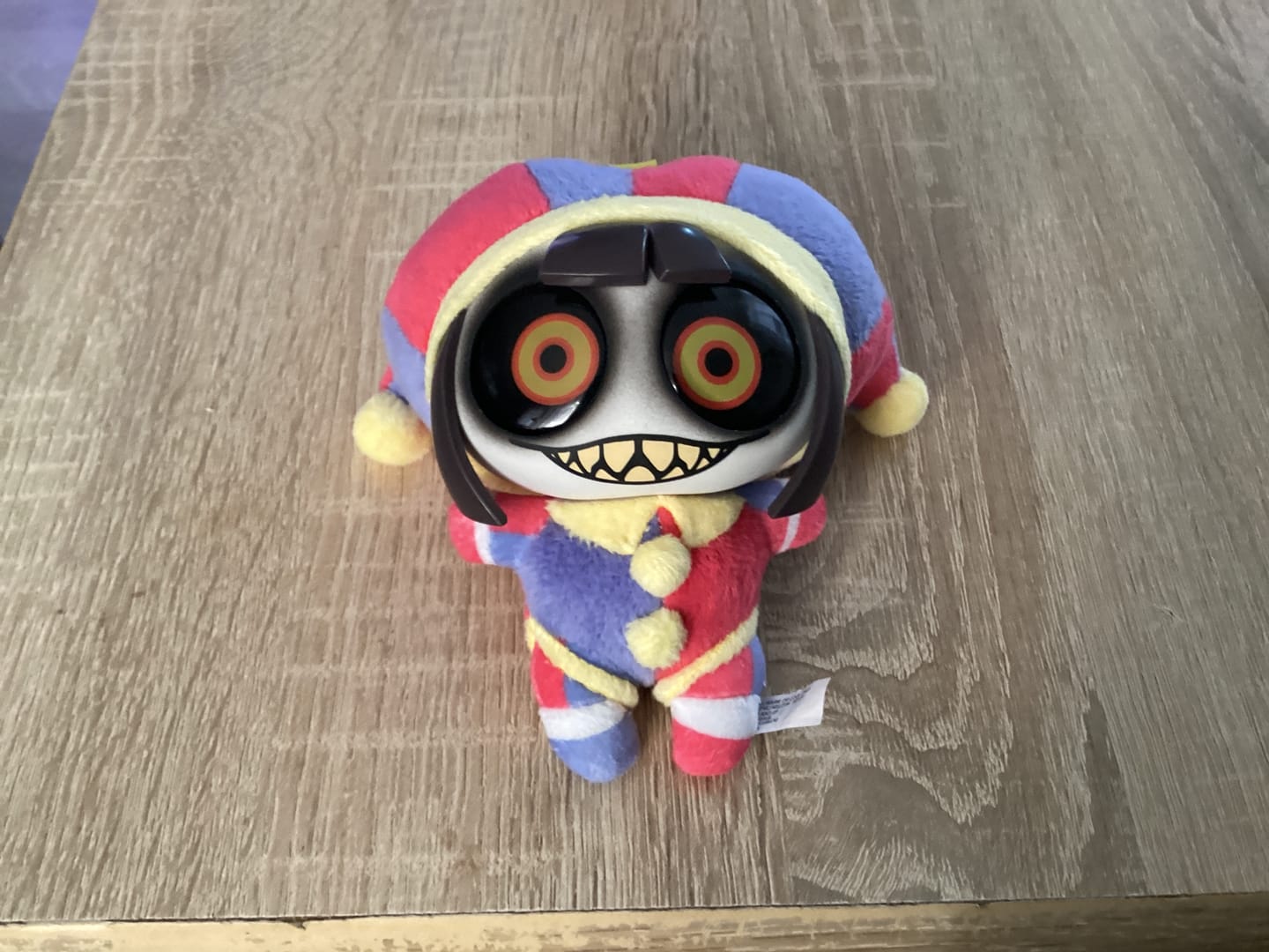 Customer photo review of Pomni Pendantz Blindbox