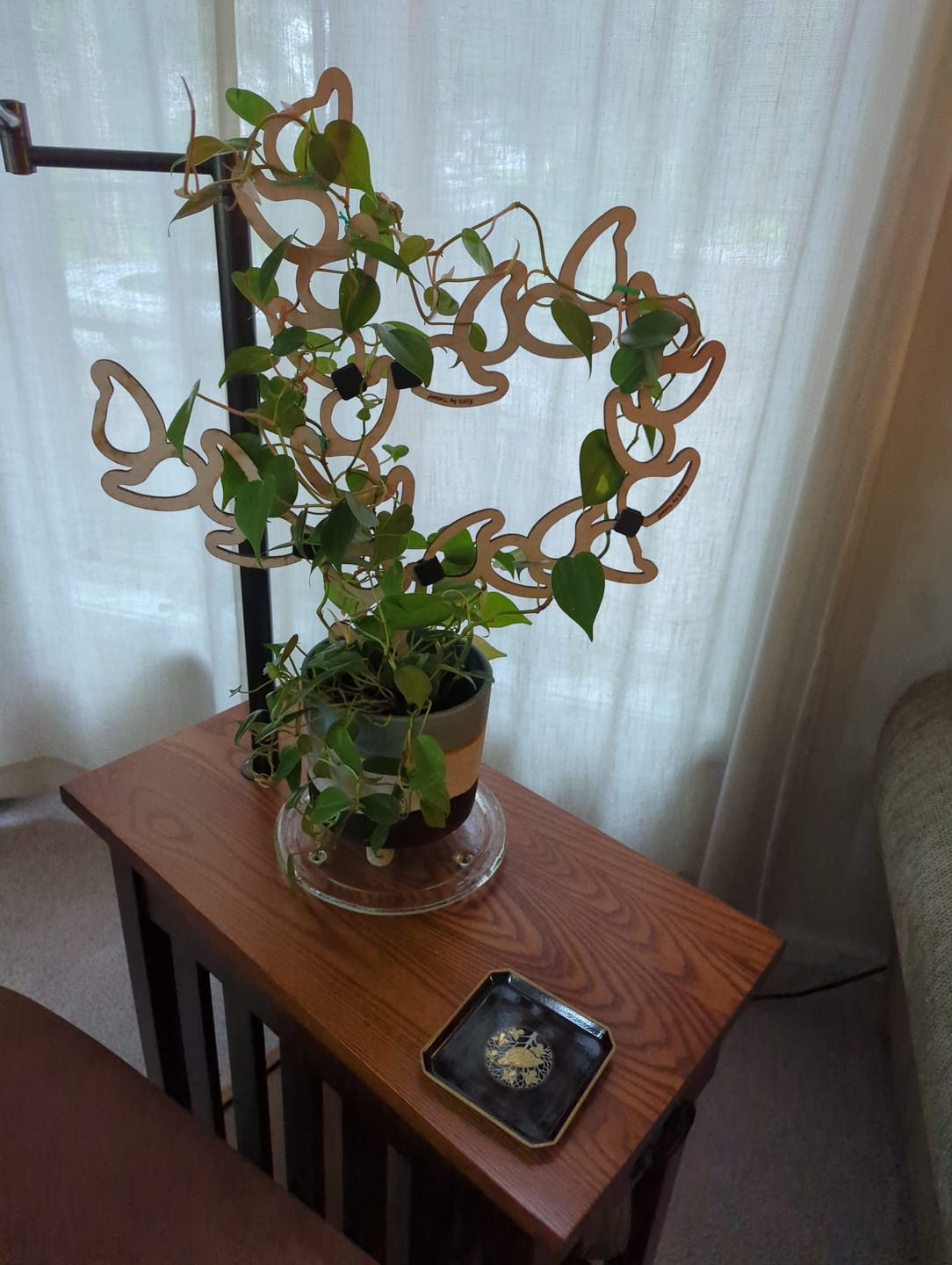Customer photo review of Kora™ - Extendable Wooden Support for Climbing Houseplants