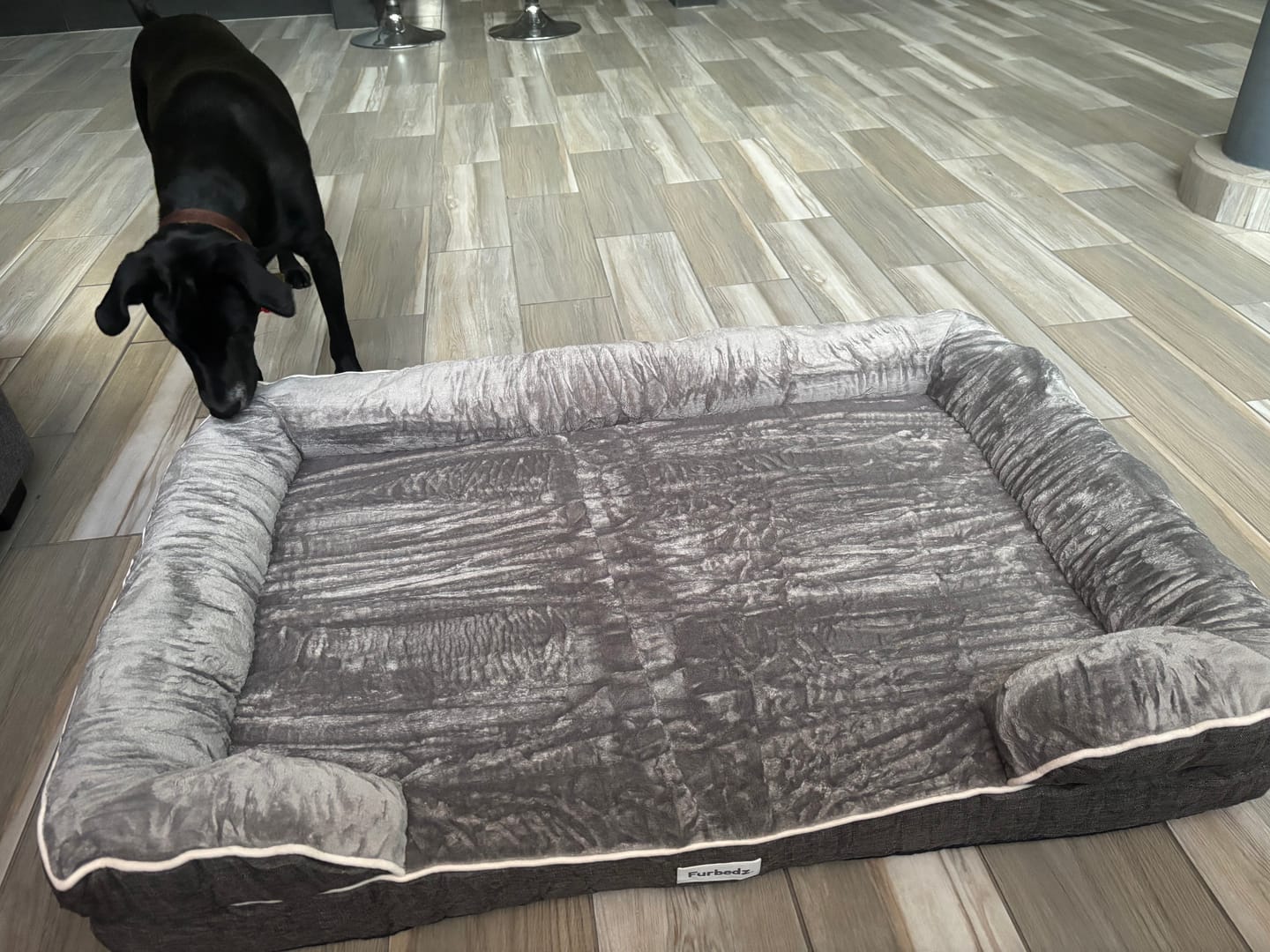 Customer photo review of Cama Ortopédica para Perros