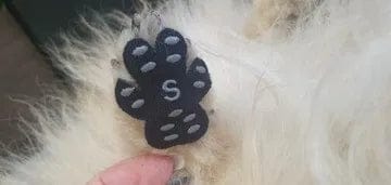 Customer photo review of Aktoclean™️ PawGrip™️ | Grips antidérapants pour chien