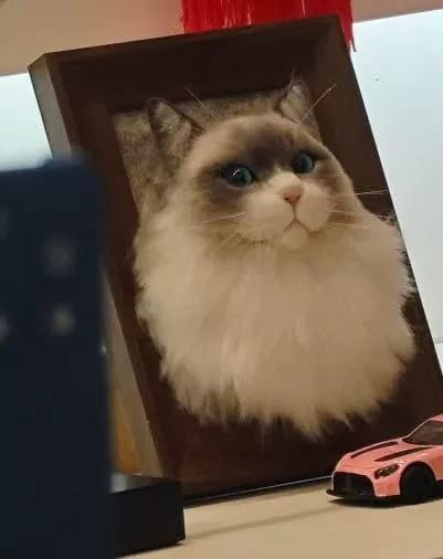 Customer photo review of Custom Pet Cloning Felt Portrait Frame