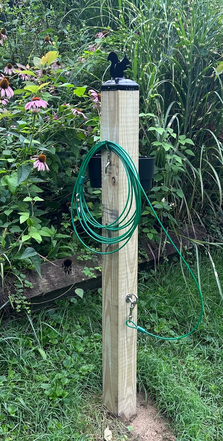 Customer photo review of Squirrel Fence Post Cap (Multiple Post Sizes Available)