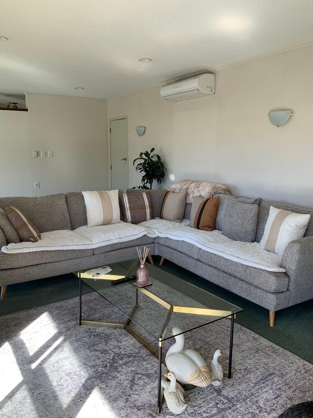 Customer photo review of Cosy Couch - Couch Cover
