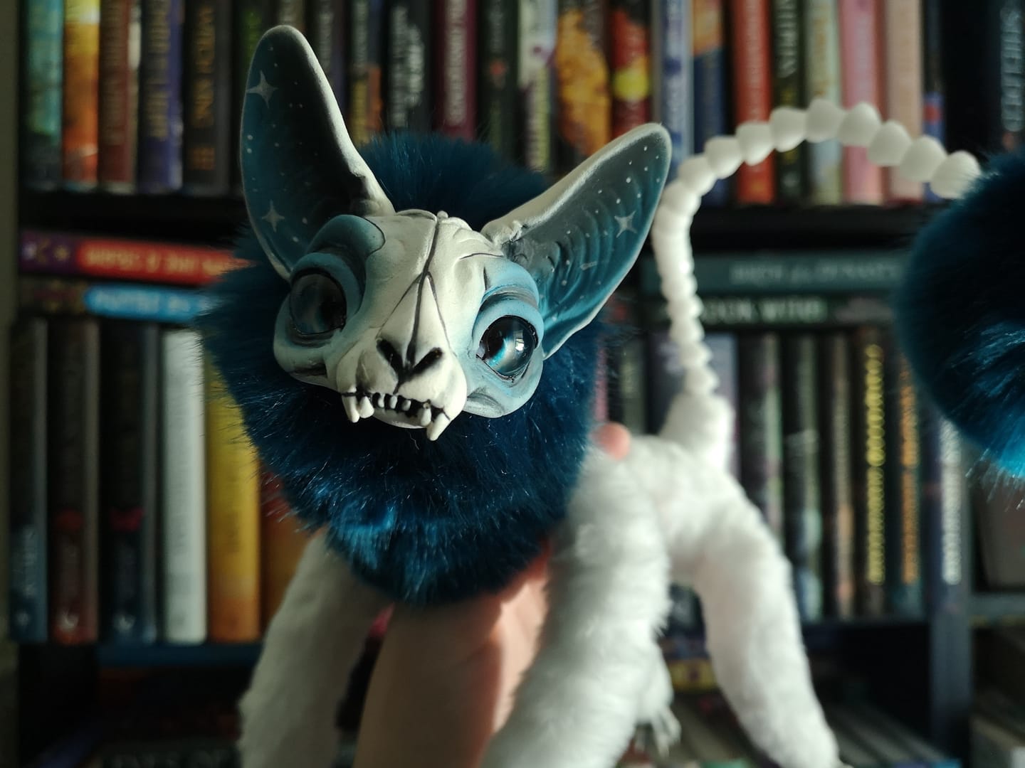 Customer photo review of Schrödinger's cat