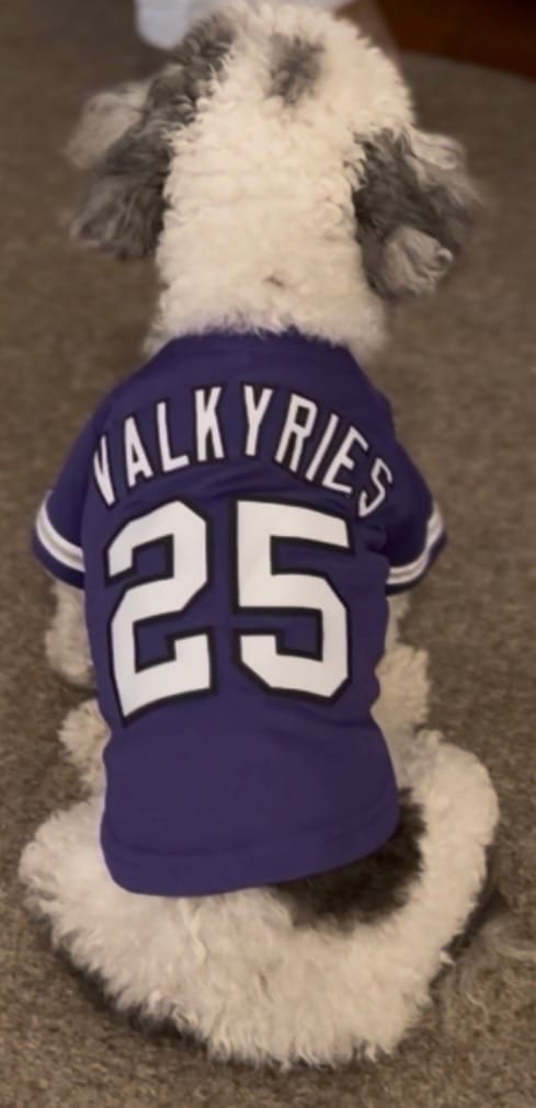 Customer photo review of Custom Purple Gray-White Classic Style Dog Jersey