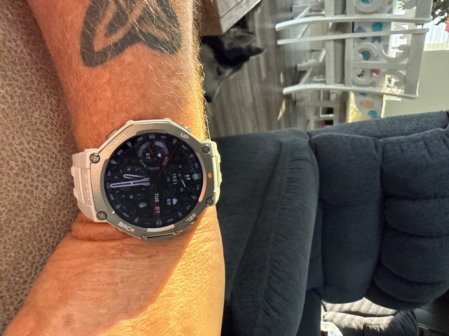 Customer photo review of T-Rex 3