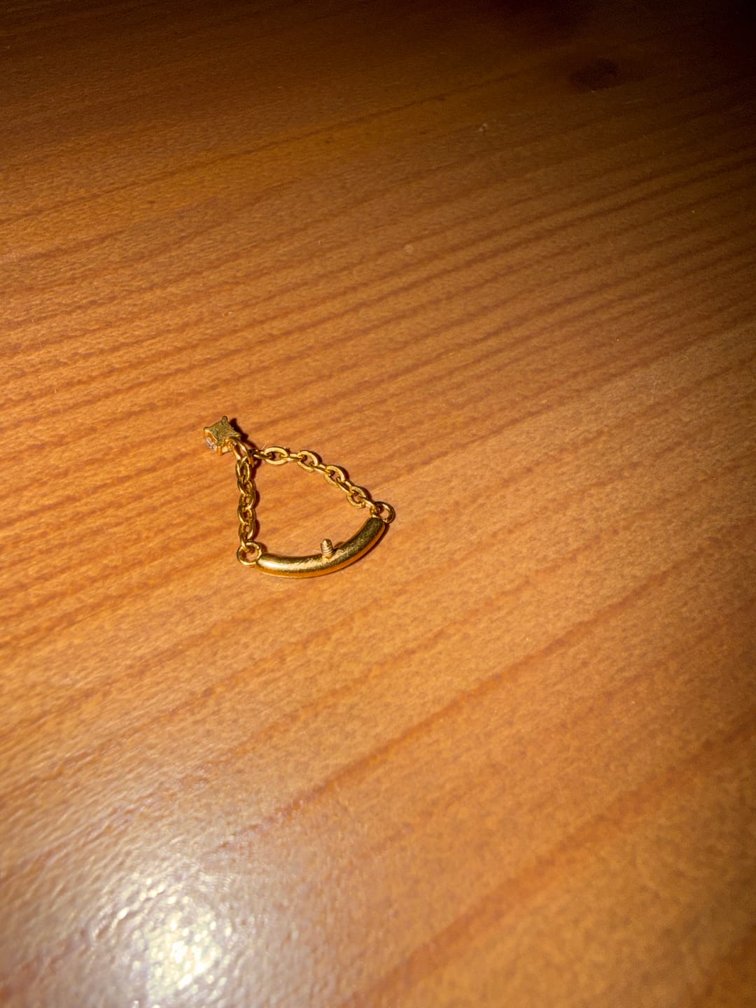 Customer photo review of Threaded Labrets