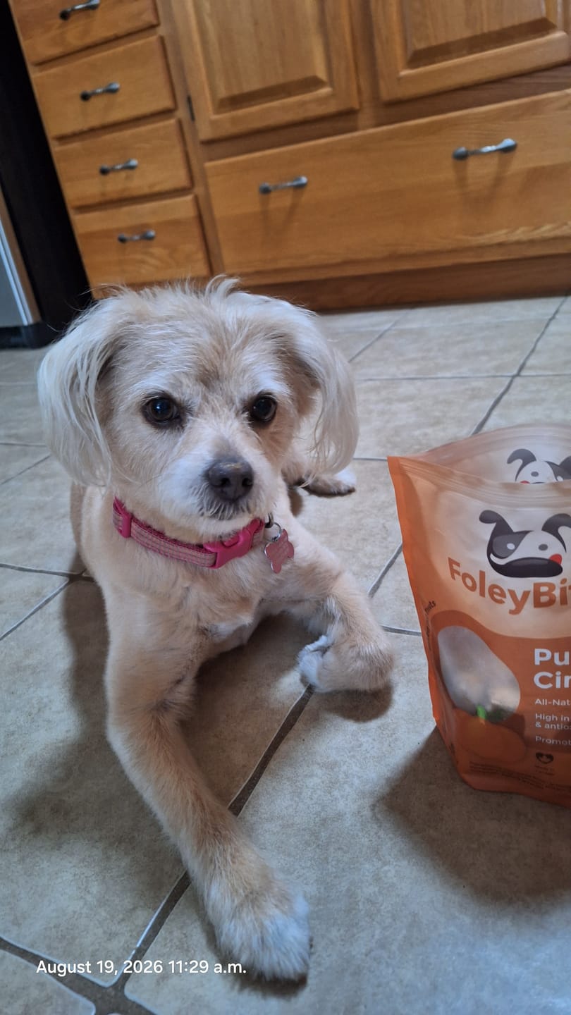 Customer photo review of FoleyBites - 7 Pack Bundle
