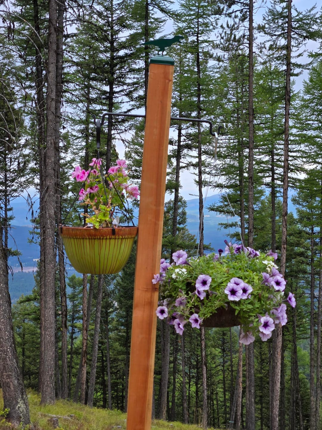 Customer photo review of T-Rex Fence Post Cap (Multiple Post Sizes Available)
