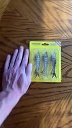 Customer photo review of Swimmax Fishing Lure | Eight-Segmented | BKK Hook |  Easy Catch | Rattling with Noise | Heavy-Duty Dyneema Fiber Joint | Jointed Swimbait for Bass & Trout & Crappie