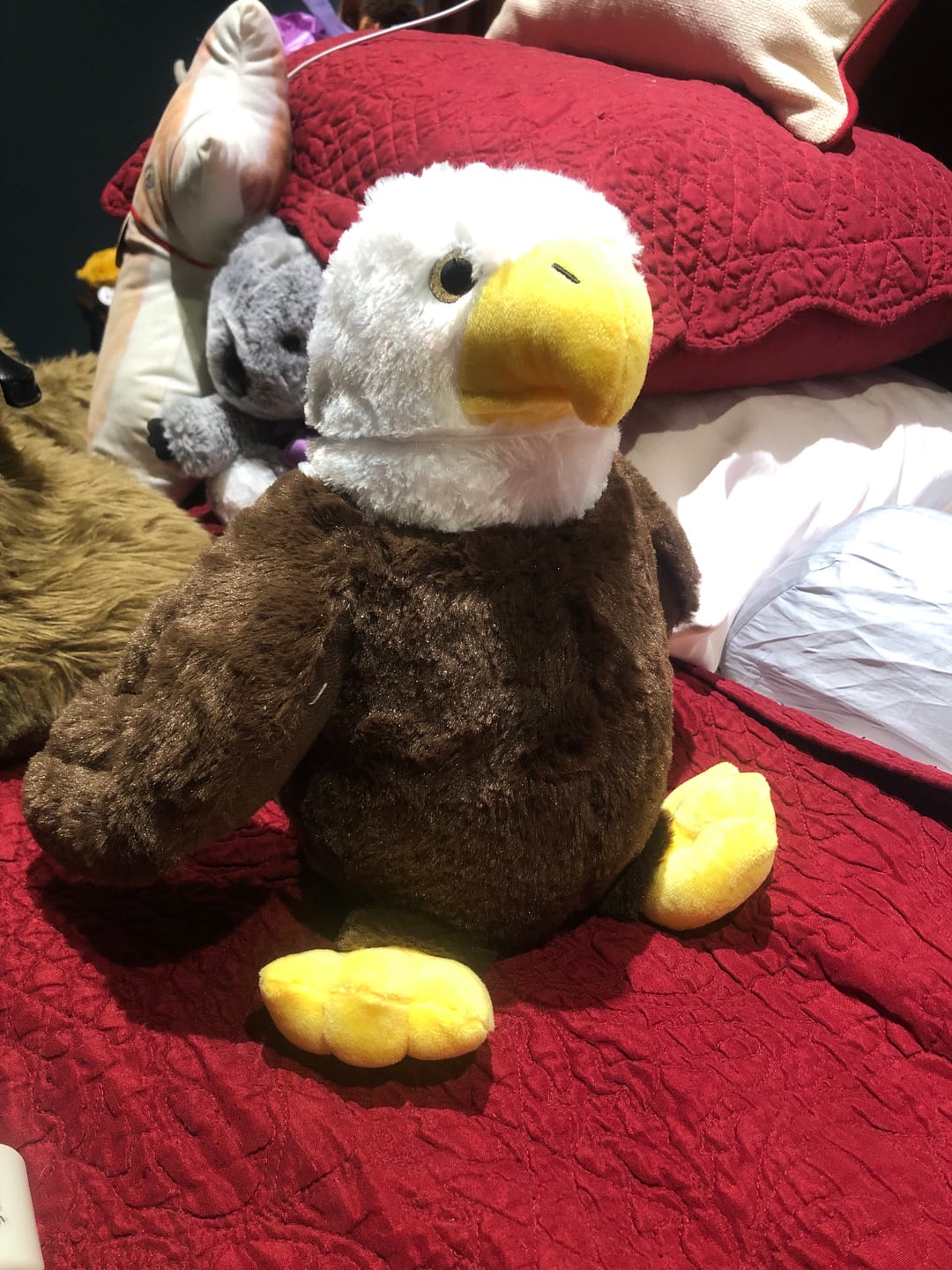 Customer photo review of Weighted Eagle Plushie, Sensory Comfort Toy, Anxiety Calming Gift