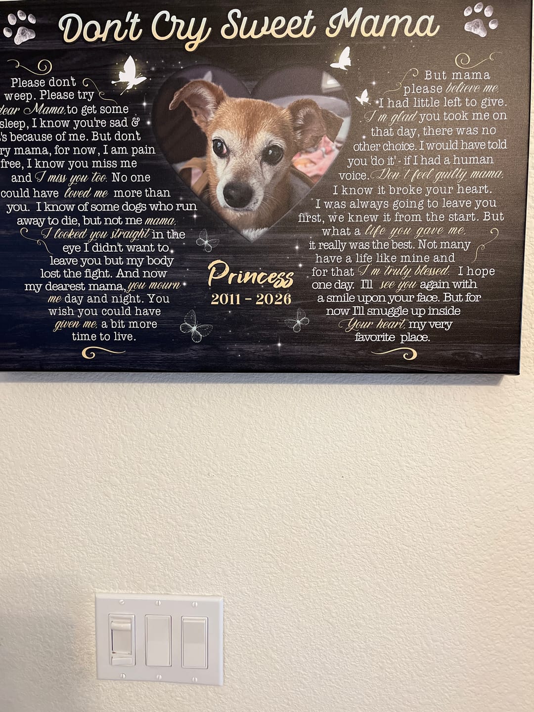 Customer photo review of Personalized Canvas Prints, Custom Photo, Sympathy Gifts, Dog Gifts, Memorial Gifts, Don't Cry Sweet Mama Dem Canvas