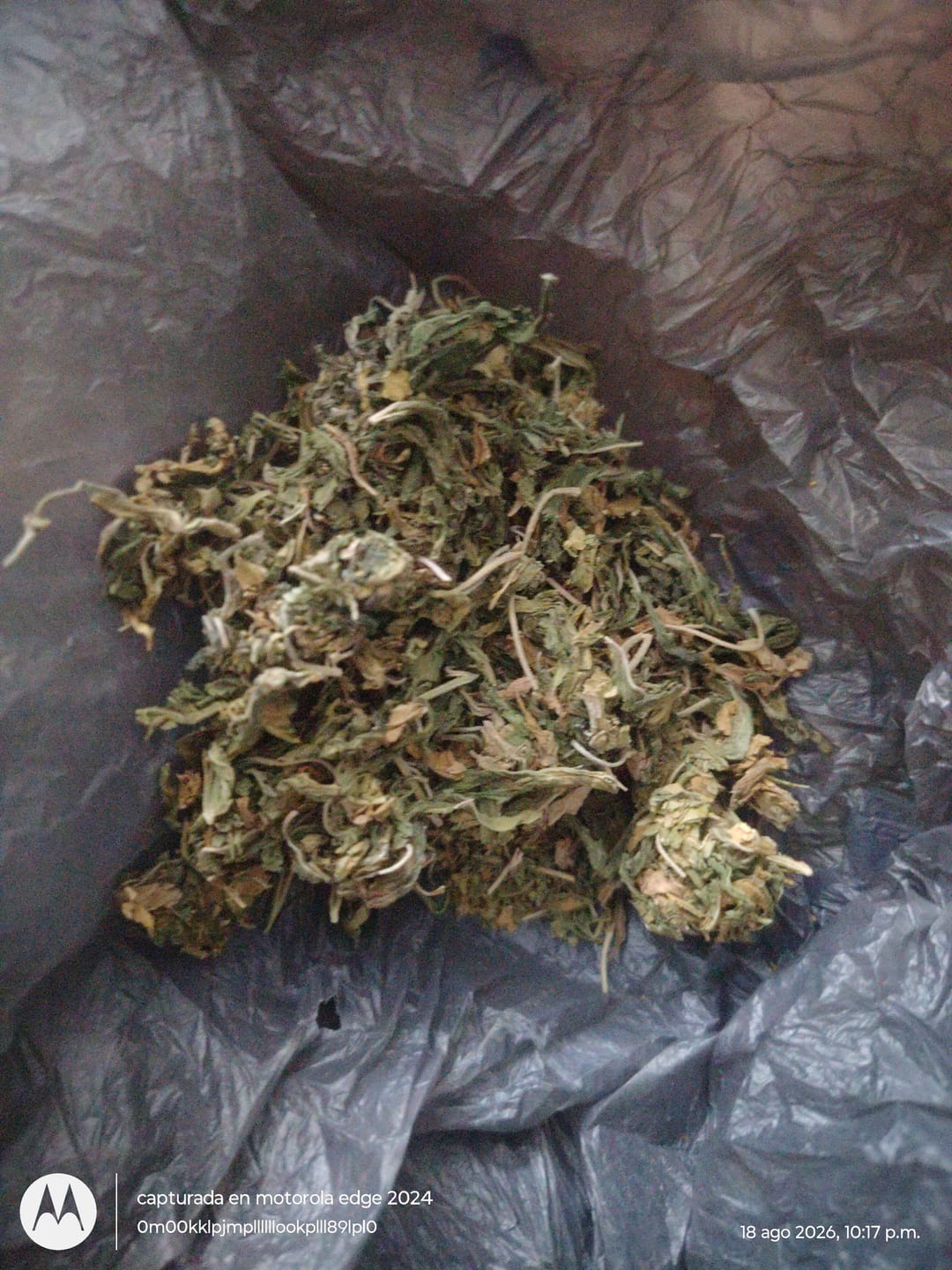 Customer photo review of Maui Wowie - 28 Grams - Sativa