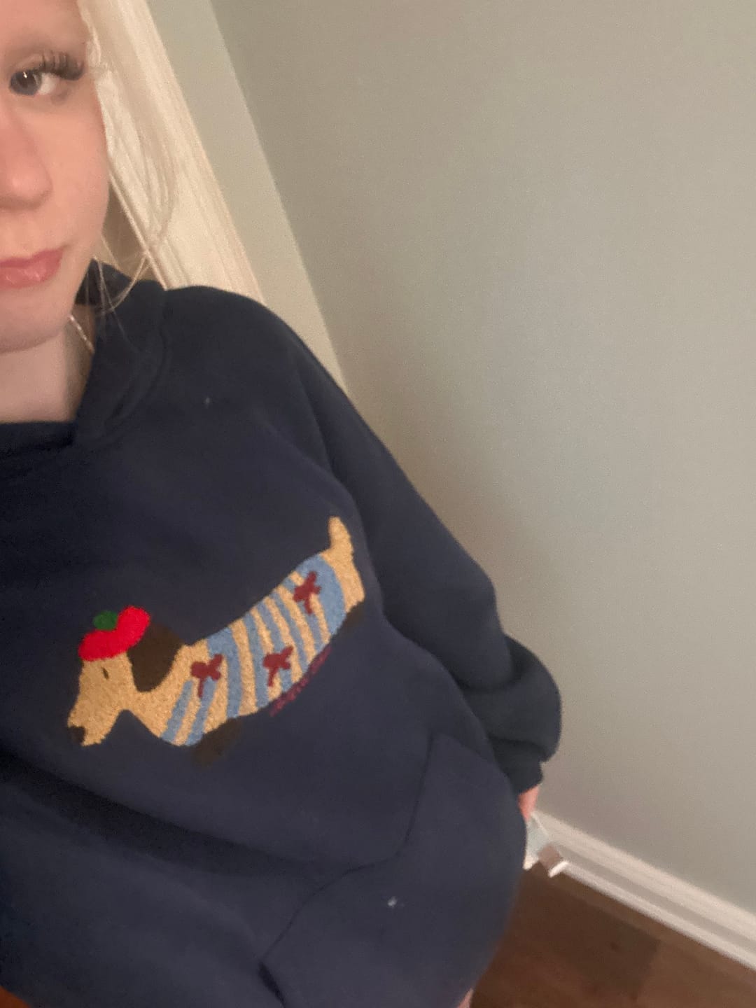 Customer photo review of Aelfric Eden Cartoon Dachshund Hoodie