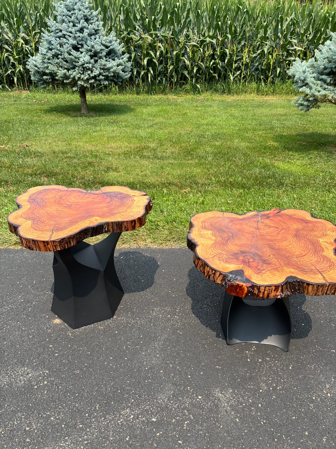 Customer photo review of End Table Legs 20" H Tree Trunk for Metal Modern Design - 216 Namu